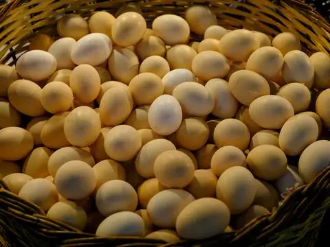 Produkty farmerskie